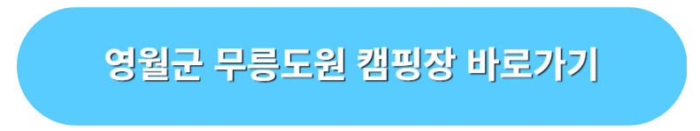 영월군 무릉도원 캠핑장 예약 바로가기