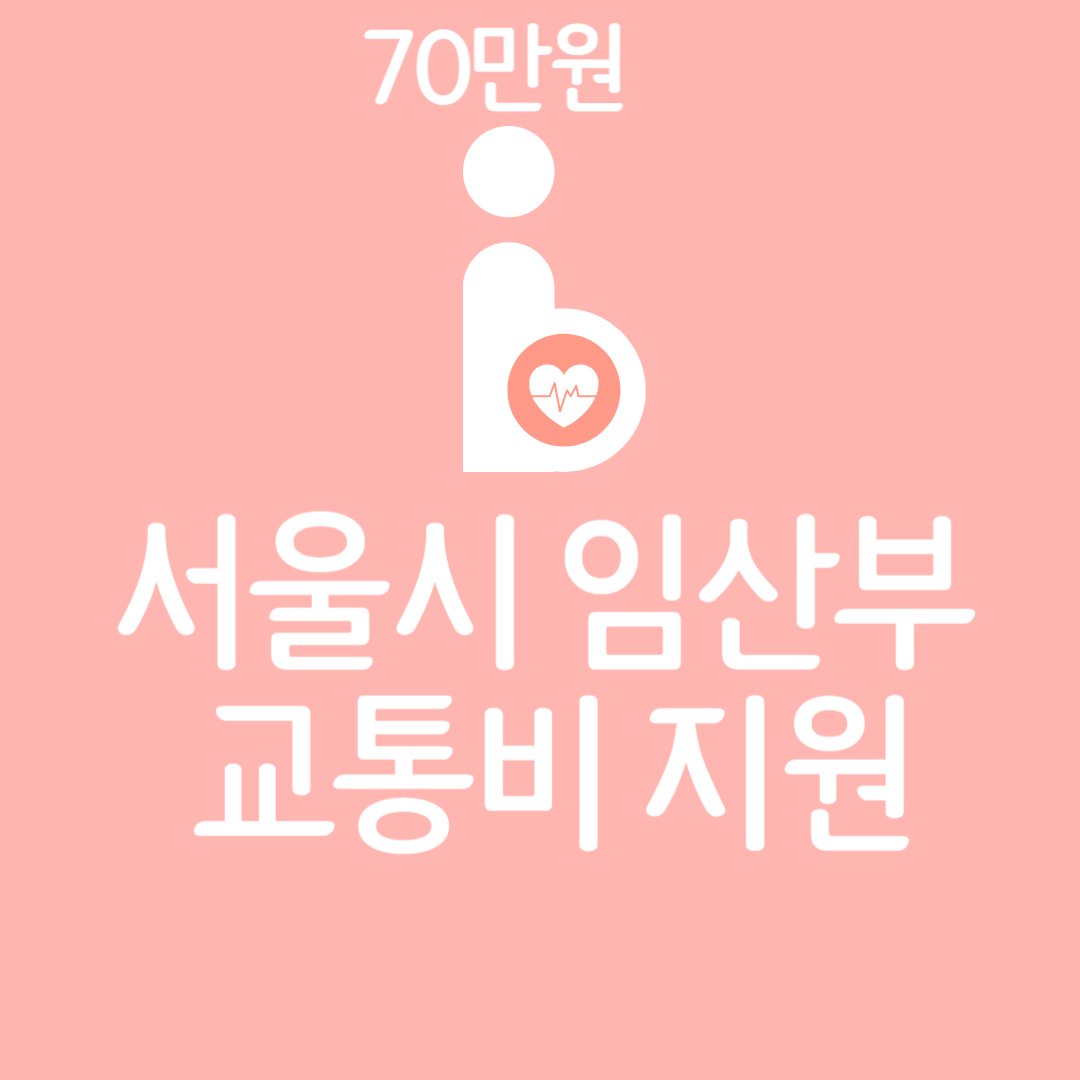 서울시 임산부 교통비 지원