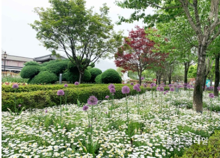 기차마을레일바이크