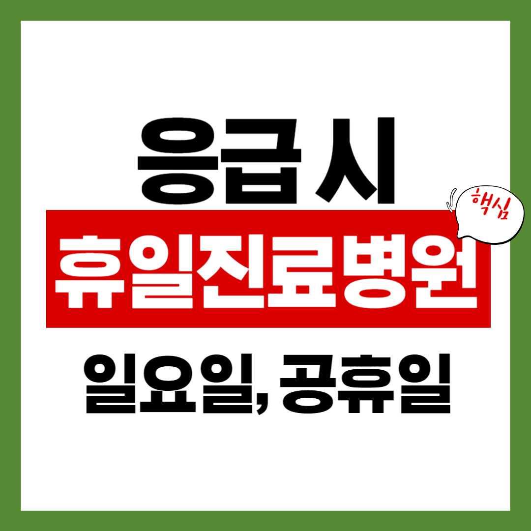 휴일 진료 병원