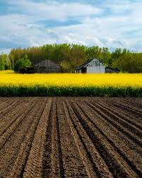 2023년 경기도 광주시 농민기본소득 지원사업 추가(3차) 신청대상과 신청방법