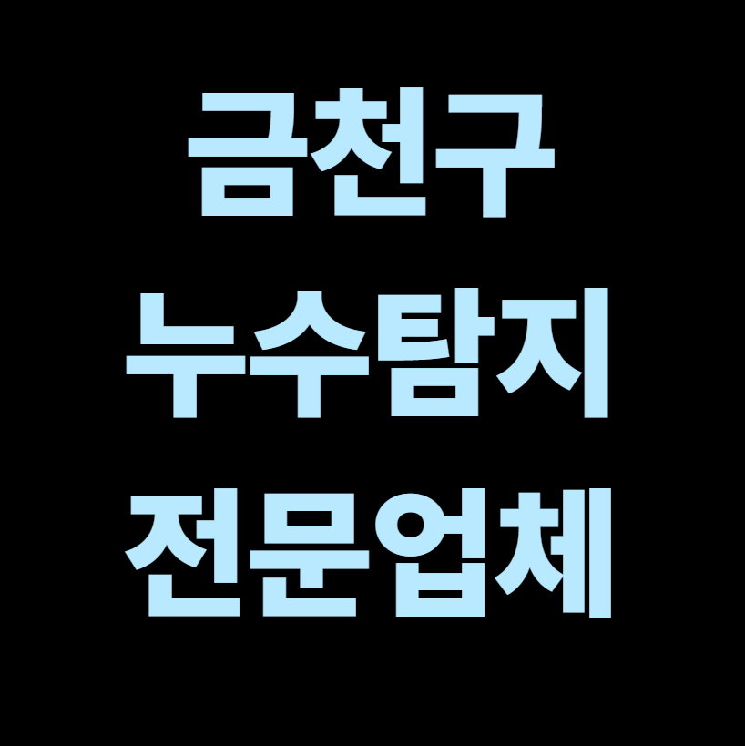 금천구 누수탐지 전문업체