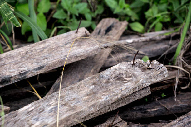 파상풍 초기증상 및 주사 기간과 아이들 예방접종 기간, 성인 예방접종 기간을 알아봤습니다. 파상풍은 우리가 생각하는 것보다 훨씬 위험한 질병이고 합병증이 무서운 질병이니 내용을 잘 숙지하기기 바랍니다.