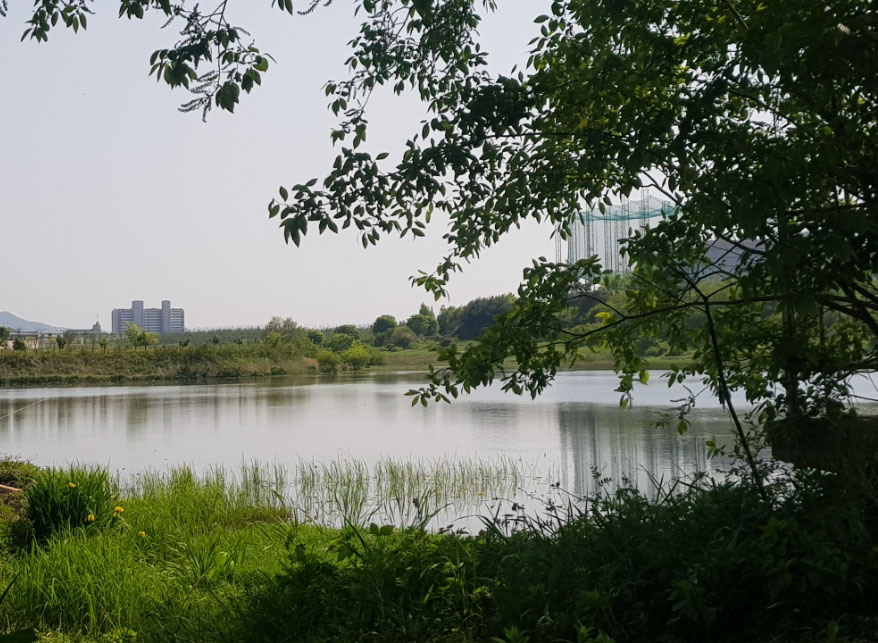 완주군 이서파크골프장 소개