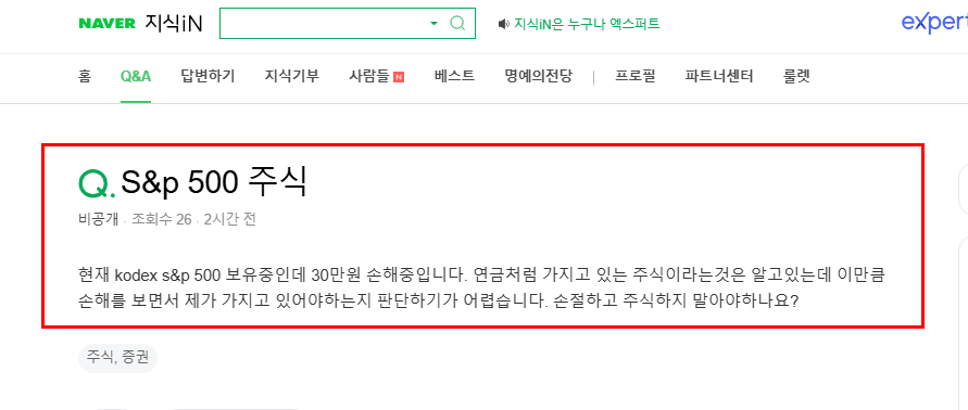 s&p 500 주식 손해 질문