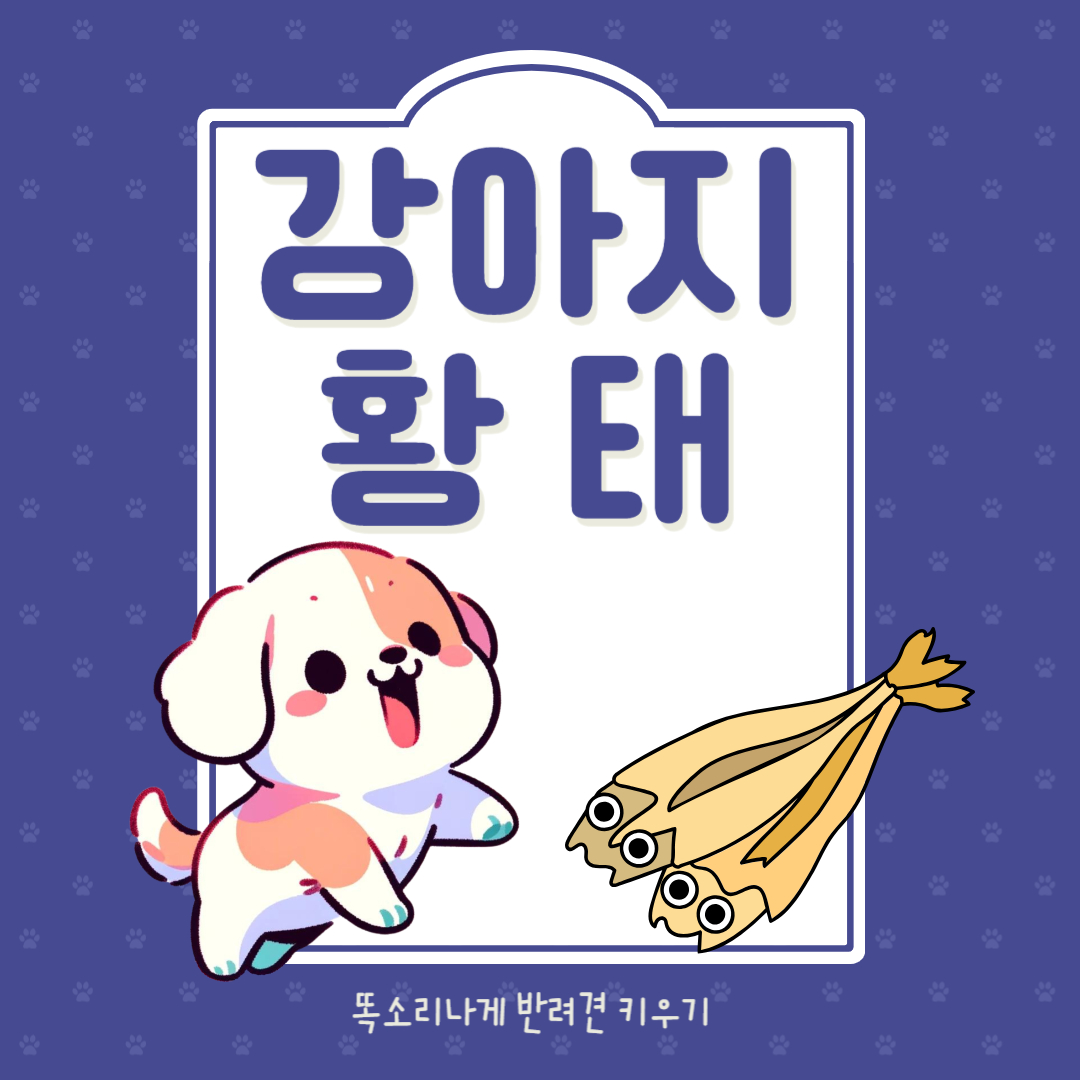 강아지 황태 하루 적정량 주의사항 급여량