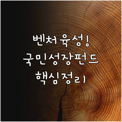 중소 벤처기업 육성을 위한 국민성장펀..