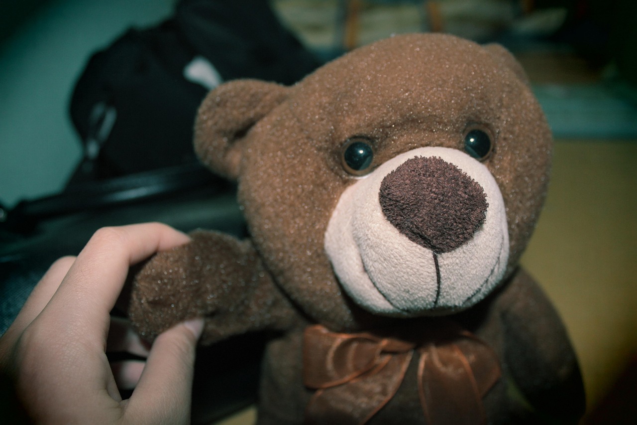 곰인형 사진