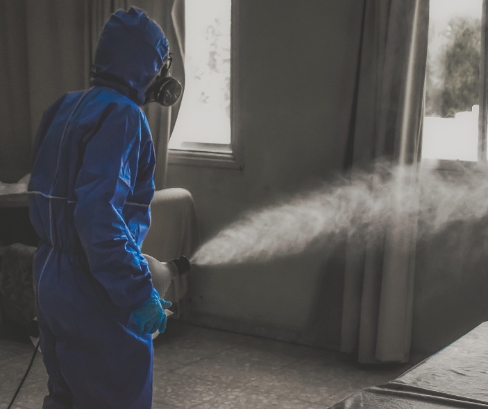 집안 소독을 해도 다시 원래대로 되는 이유