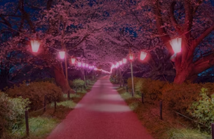 전국 벚꽃 나들이 명소 추천 및 준비물 가이드