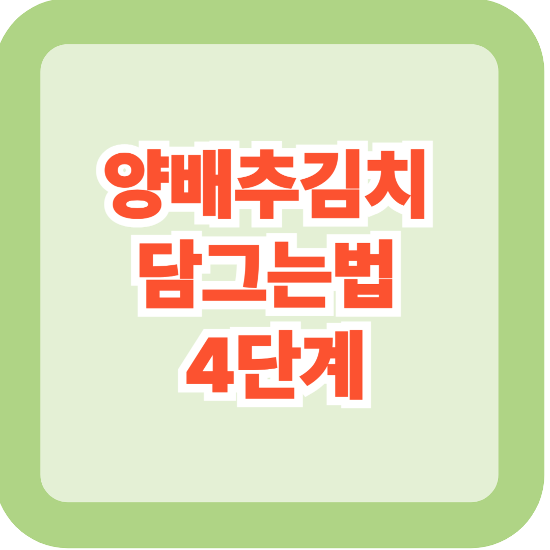 양배추김치 담그는법 4단계 - 초보도 실패 없는 양념 황금비율 꿀팁