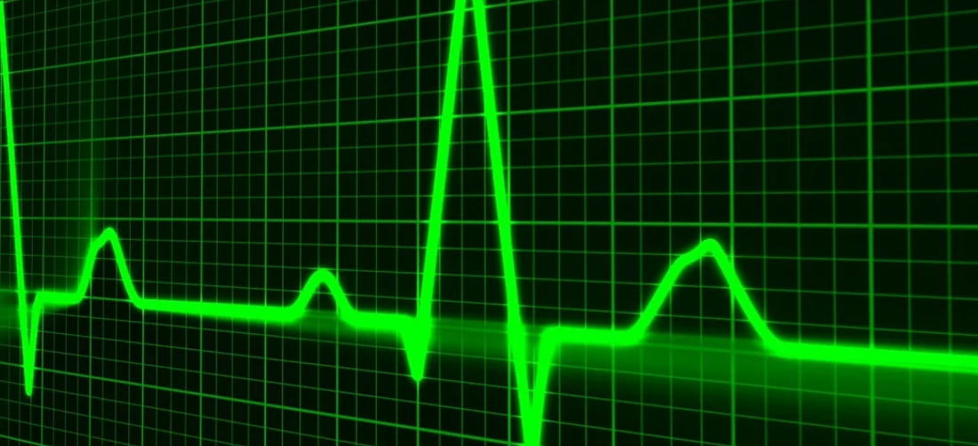 수분 항상성이 대사 흐름 안정에 미치는 영향, 몸의 균형을 지키는 진짜 비결