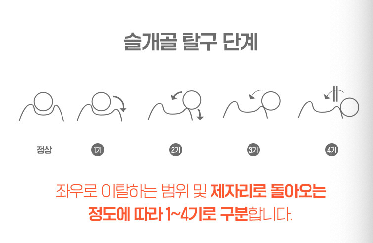 강아지관절영양제