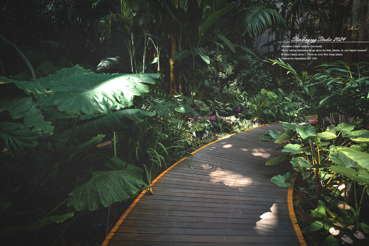 #서울 #식물원 #서울식물원 #꽃