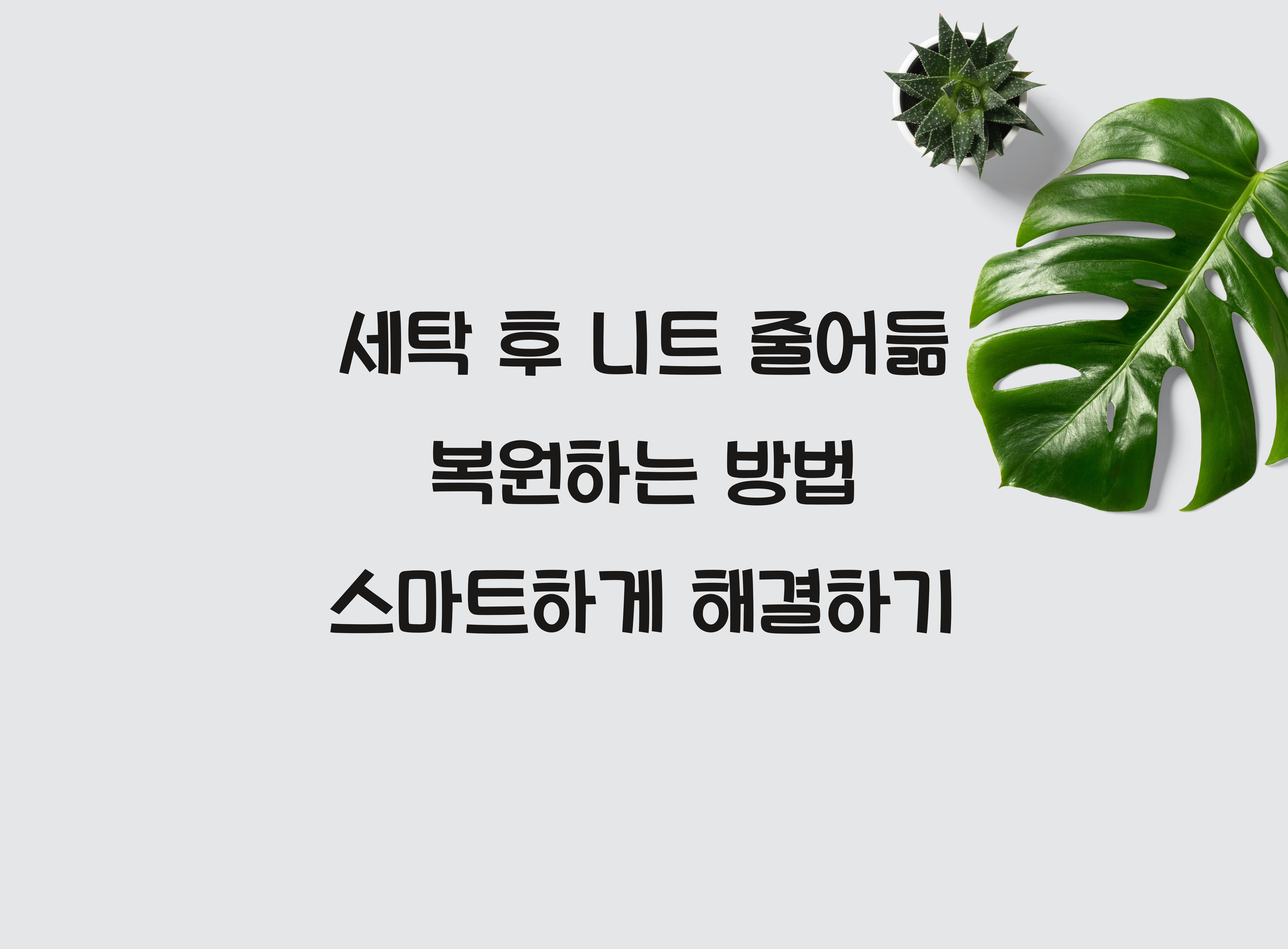 세탁 후 니트 줄어듦 복원하는 방법