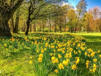 화담숲 예약하기 2025-1