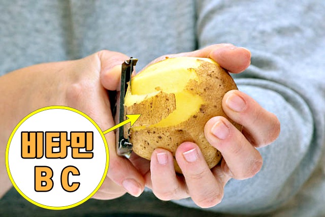 감자껍질 효능,팁줌