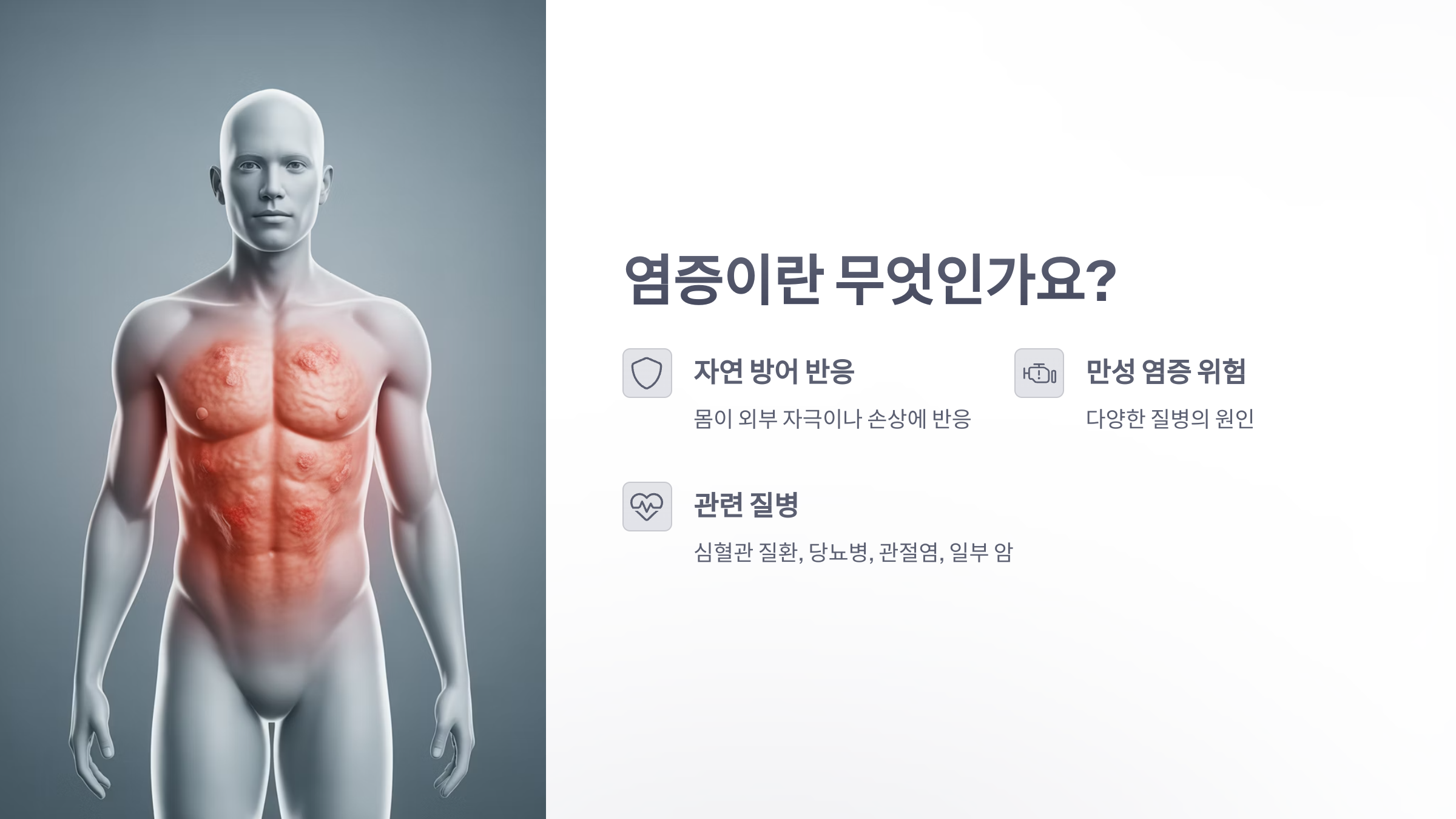 참조-염증발생시키는-음식-2