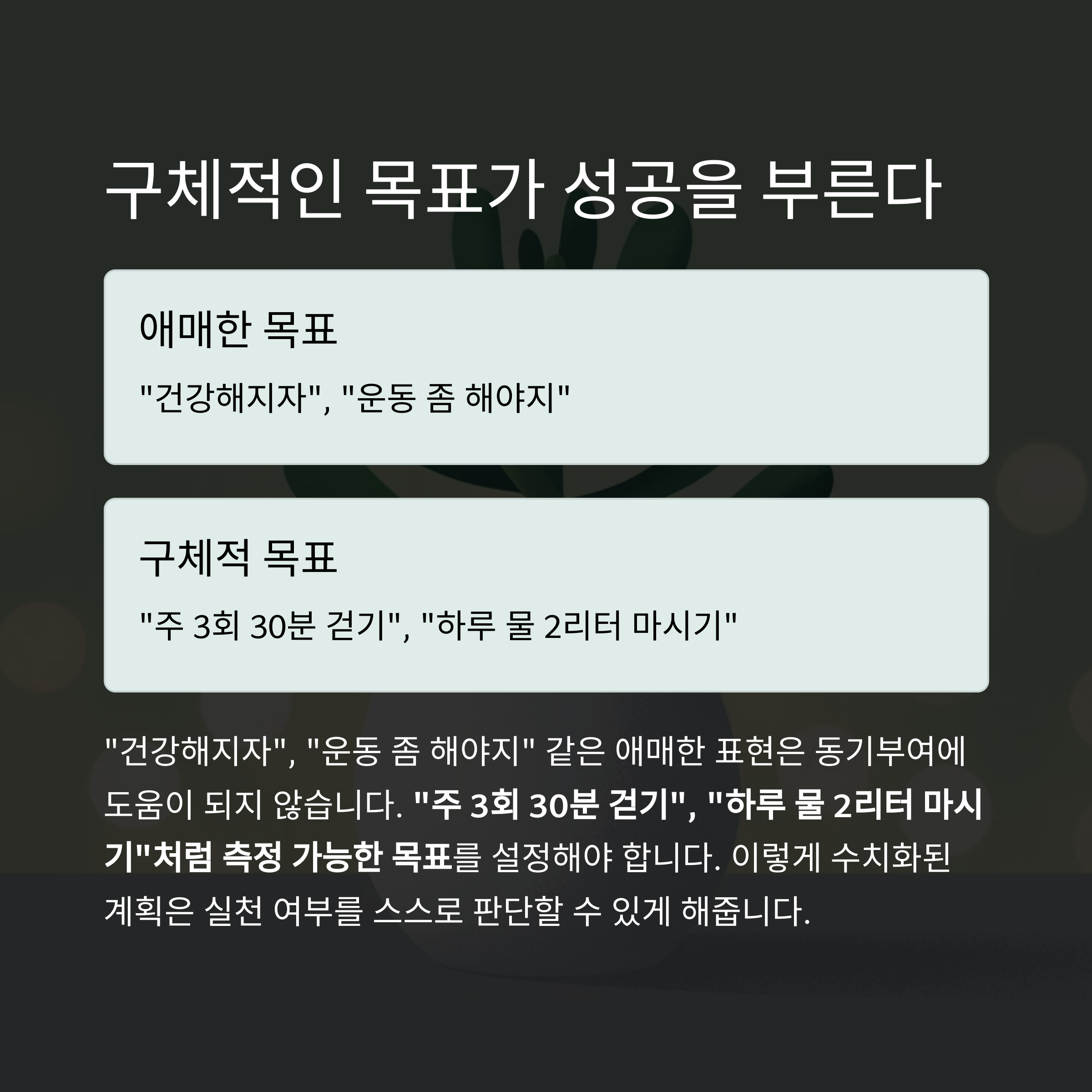 건강 의료