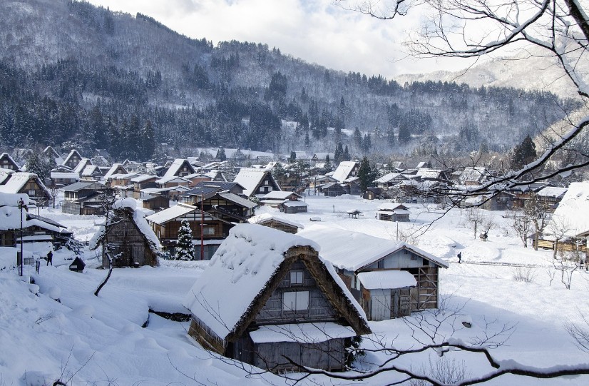 2025 자연속 힐링 여행지 일본 시라카와고 사진