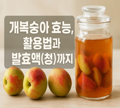 개복숭아 효능, 활용법과 발효액(청)까지 썸네일