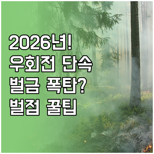 2026년 우회전 집중단속 벌금과 벌..