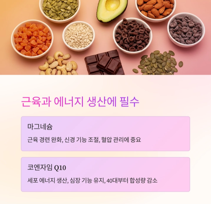 40대 건강기능식품 추천, 꼭 챙겨야 할 영양소