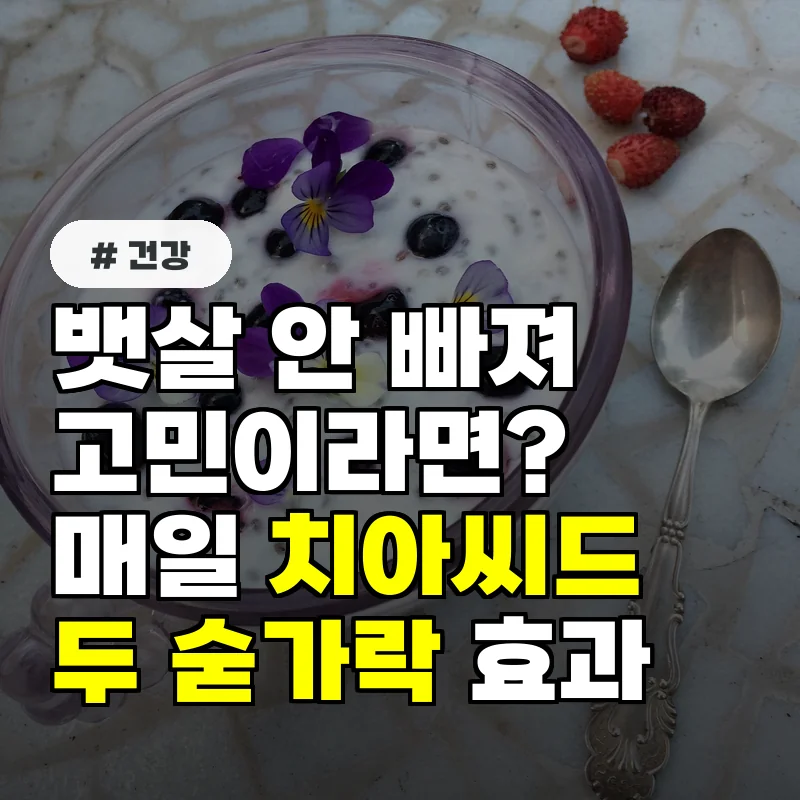 뱃살 안 빠져 고민이라면 매일 치아씨드 두 숟가락의 놀라운 효과