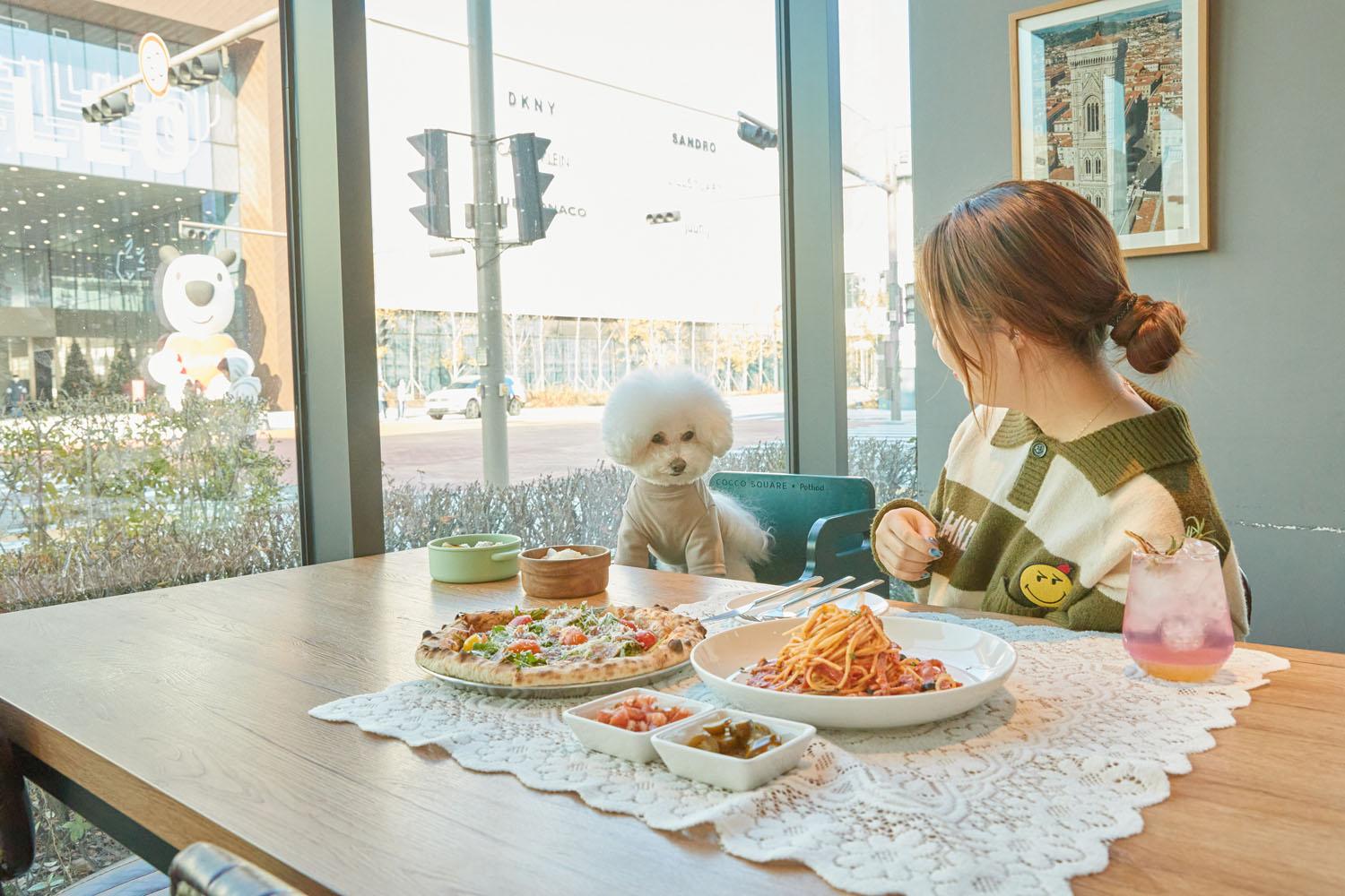 🐾 [반려동물]과 식사 가능한 시대&amp;#44; 