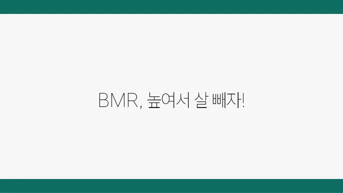 기초대사량 계산기 BMR 높이는 방법