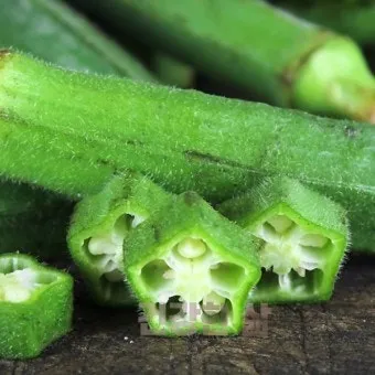 오크라 효능 재배법 손질 수확 요리 보관까지 한눈에 보기_23