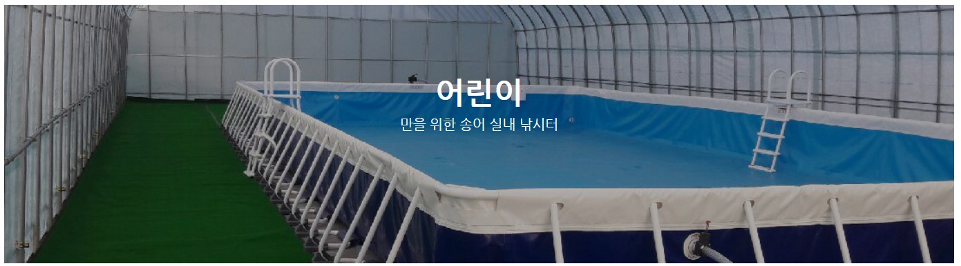 12월 축제 일정표