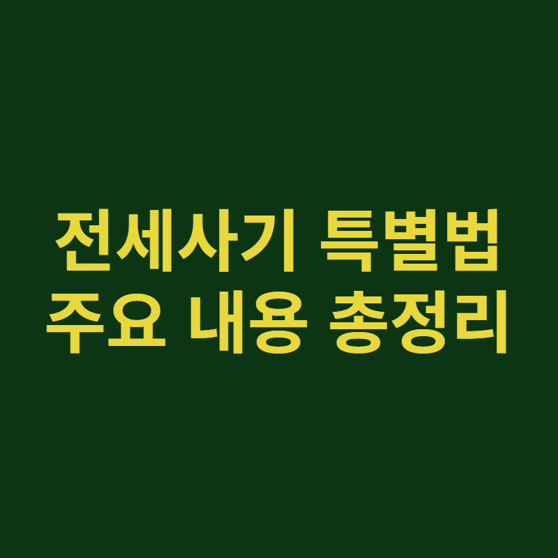 전세사기 특별법