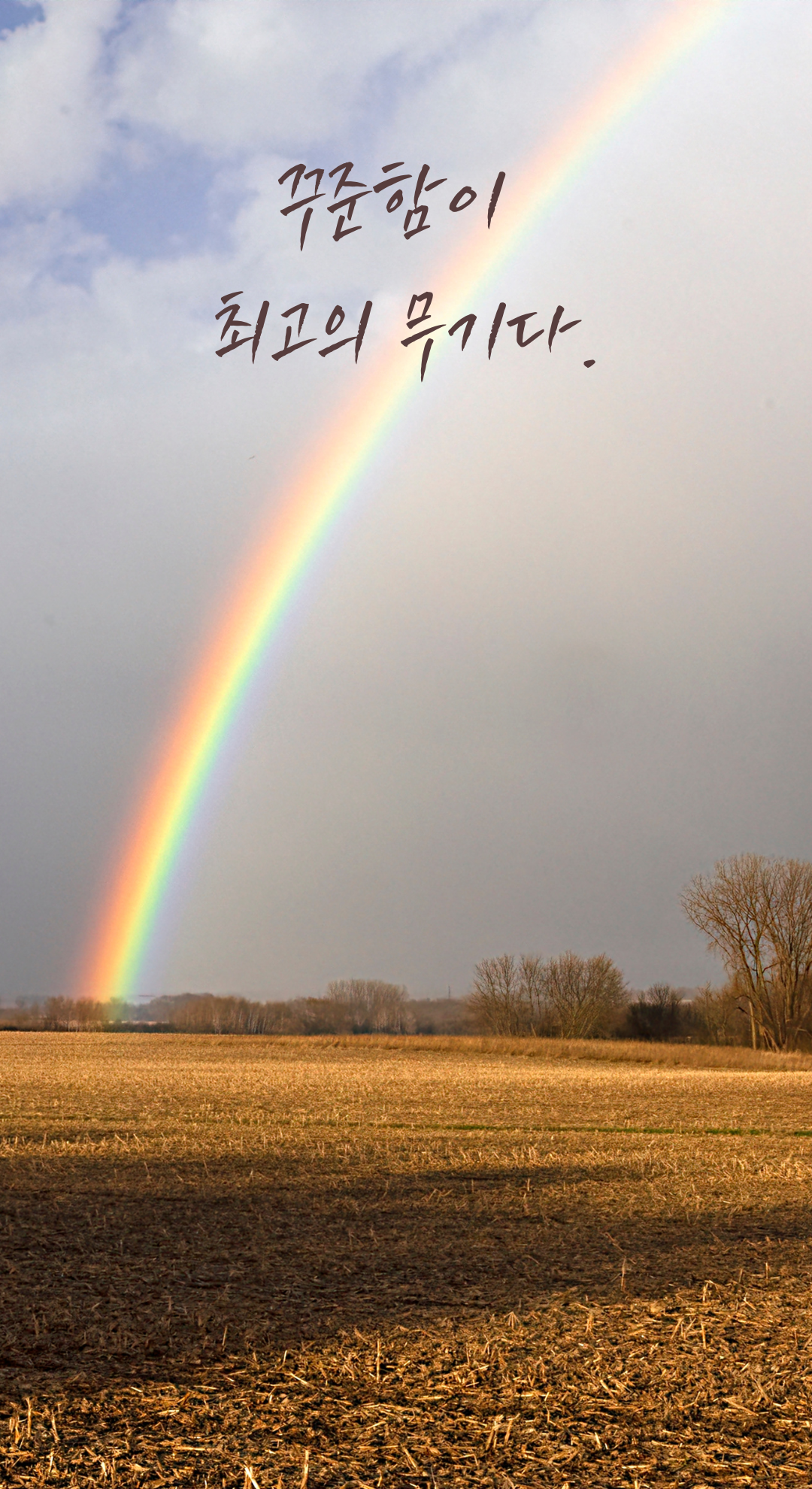 성공 글귀 짧고 좋은 글 명언 문구 배경화면 모음 이미지 사진 글