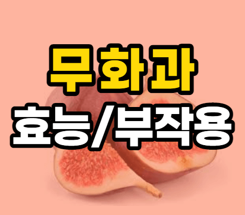 무화과 효능