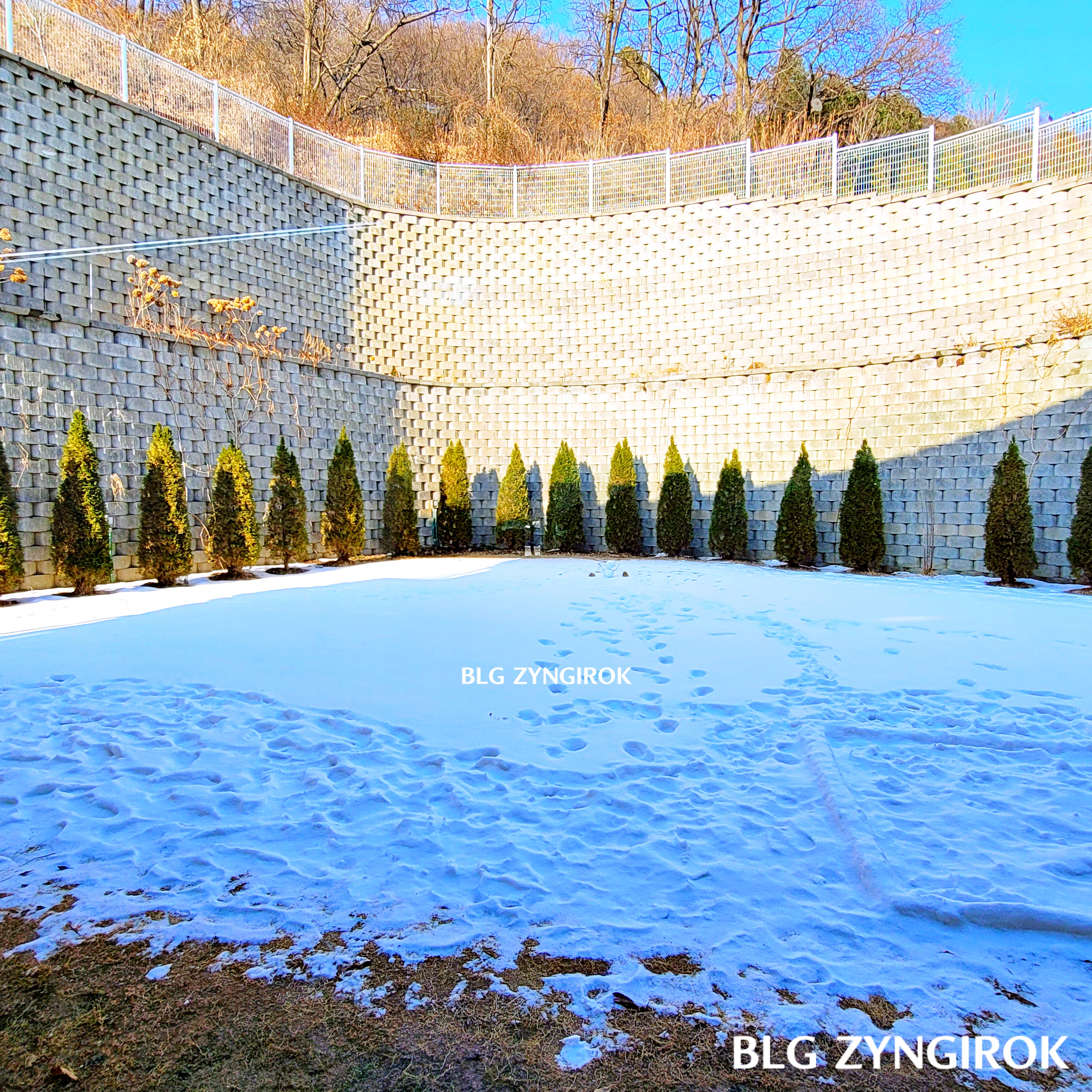 양주 카페 닛다 외관 - 건물 뒤뜰 모습이다.