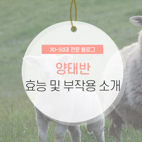 양태반 효능 및 부작용 소개 컨텐츠