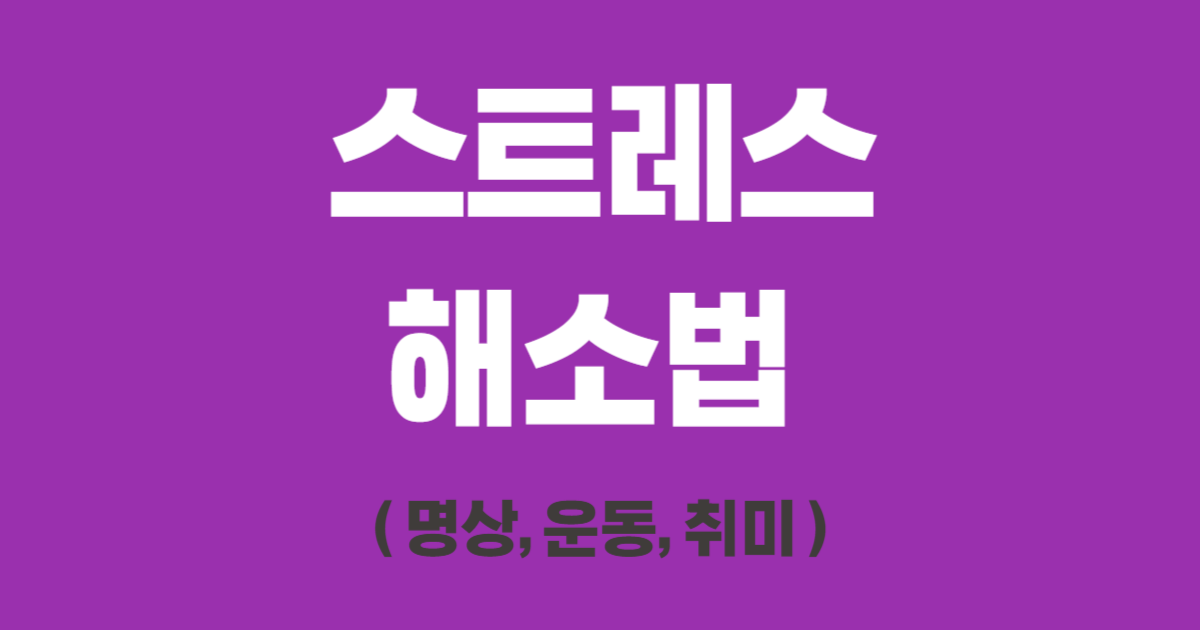 스트레스 해소법 ( 명상, 운동, 취미 )
