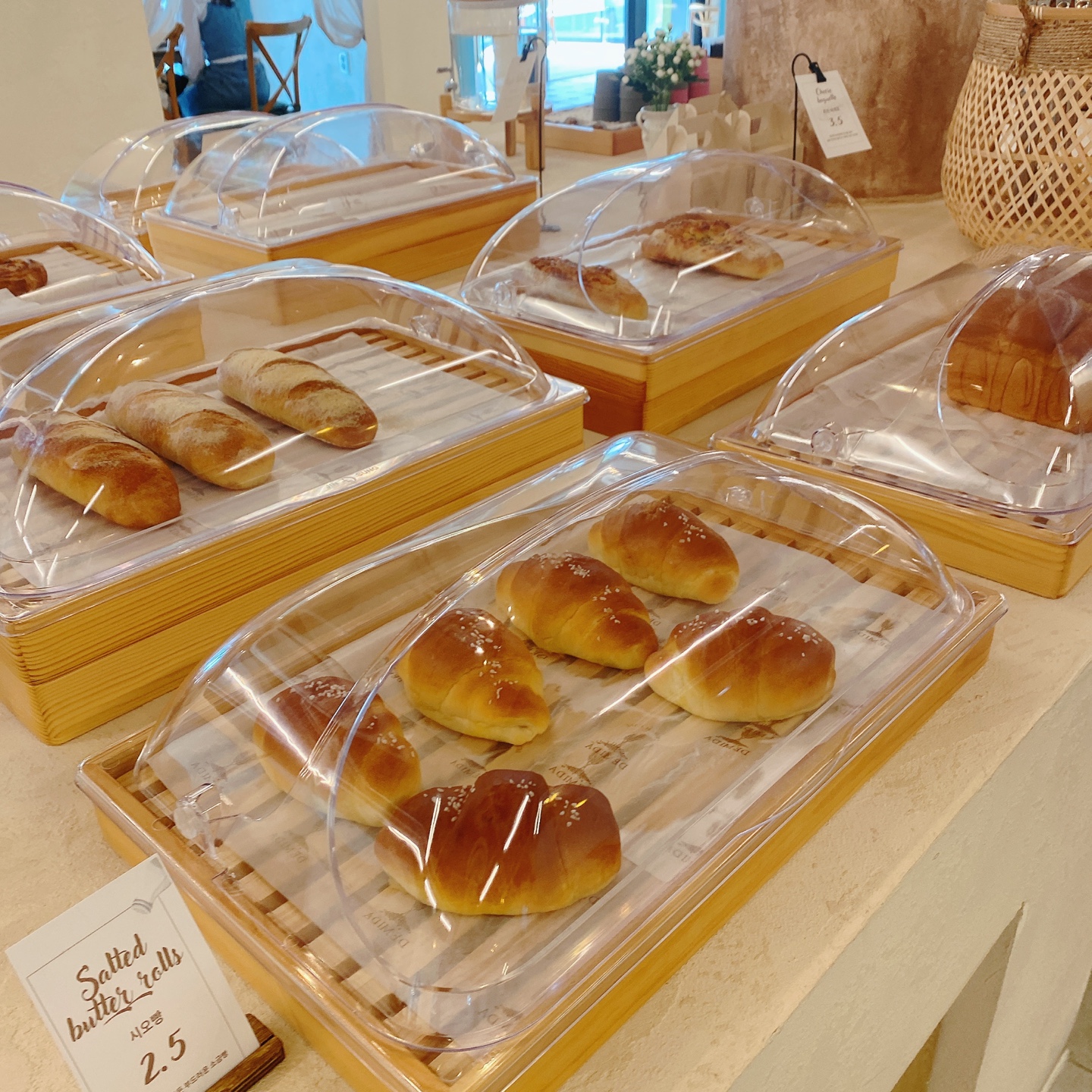 제주 한마음 근린공원 브런치 카페 데미다 제주도민 제주공항