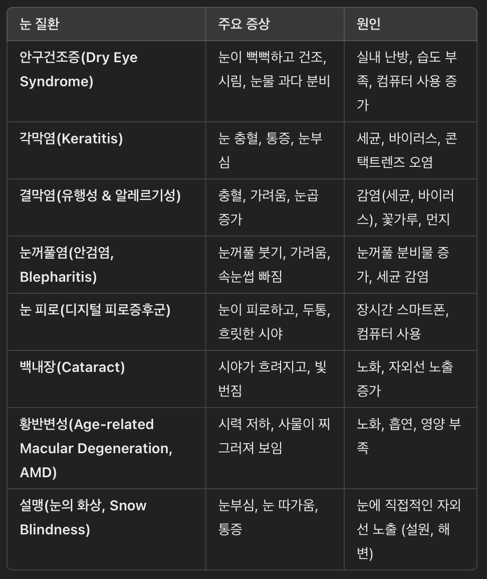 계절별 주요 눈 질환 & 원인
