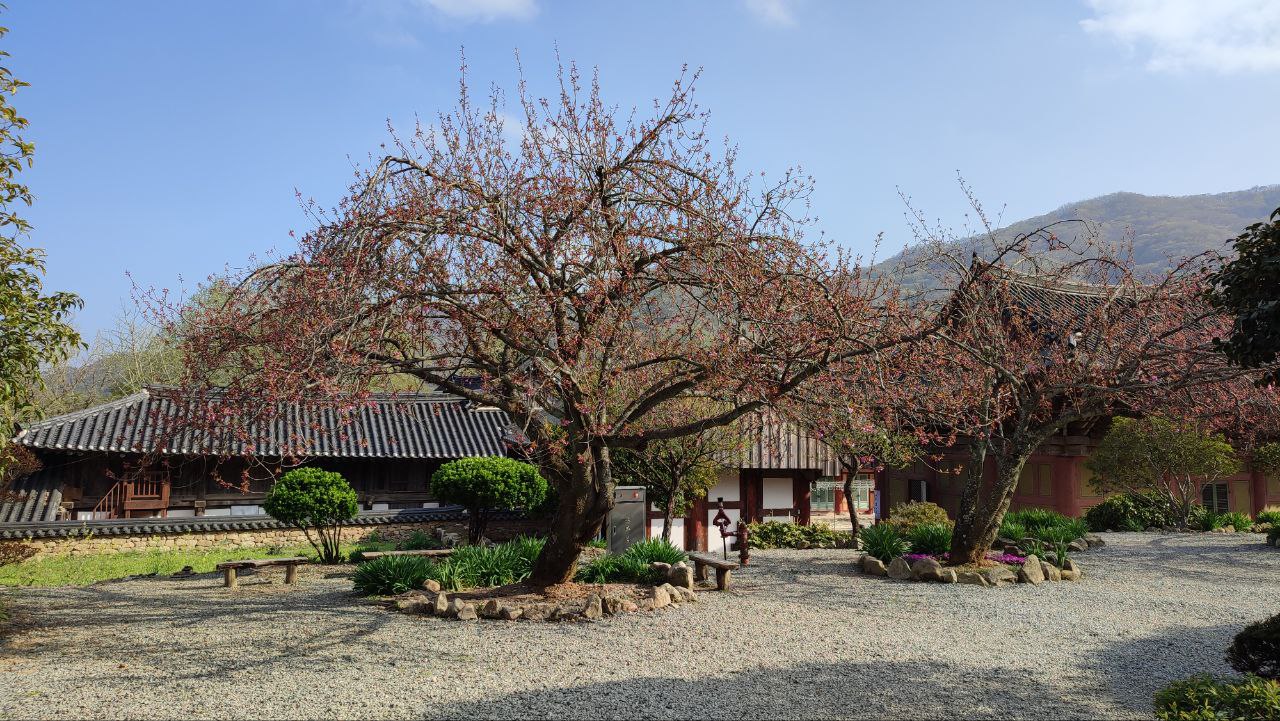선암사 전경