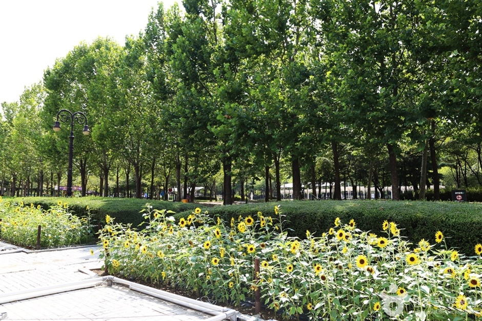 안양 가볼만한곳 베스트10