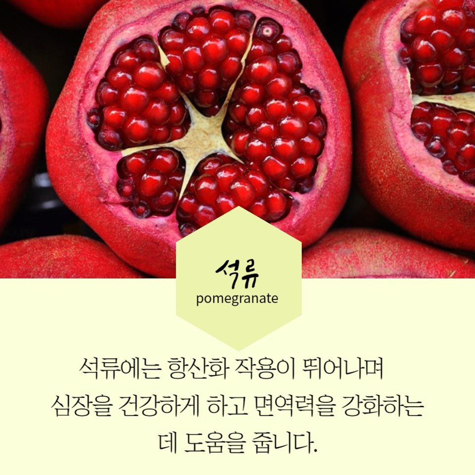 9월제철과일