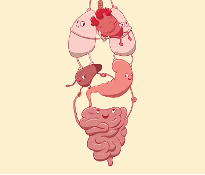 감마지티피 수치 높을 때 나타나는 증상