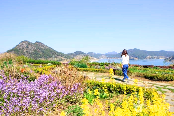 꽃길 옆으로 한 여자가 걸어가고 있다.