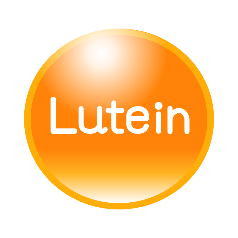 루테인 효능 부작용