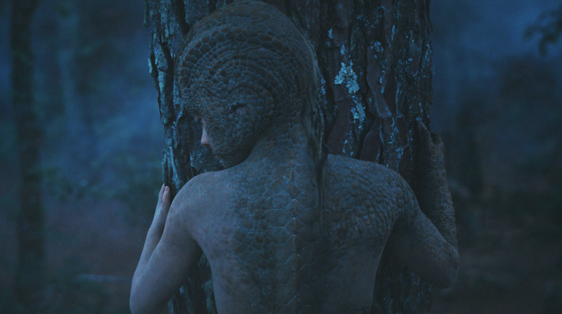 애니멀 킹덤 뜻 해석