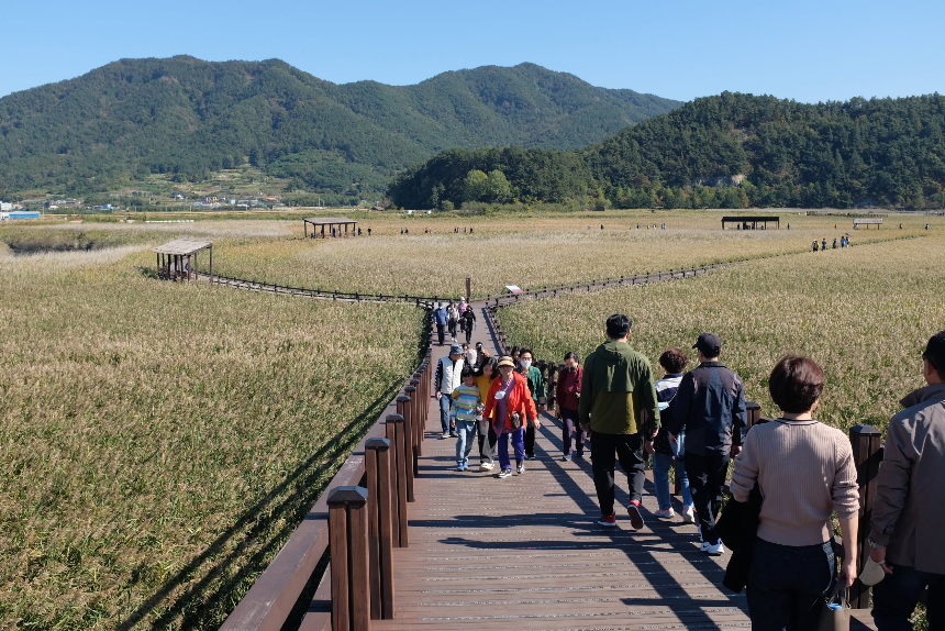 순천여행 필수 코스! 자연과 감성이 공존하는 힐링 여행지 추천