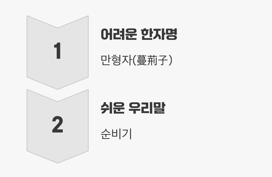 이름까지 바꿔준 세심한 배려