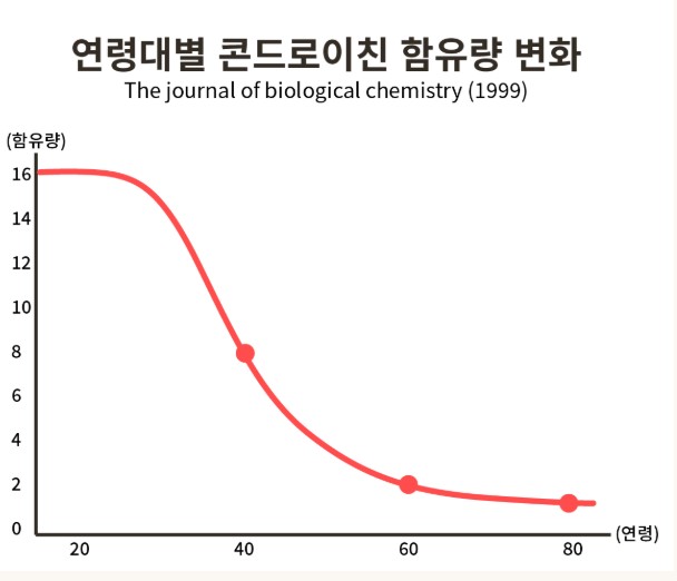 콘드로이친 효능